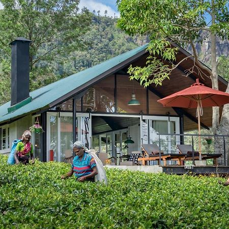 Madulkelle Tea And Eco Lodge Канди Экстерьер фото