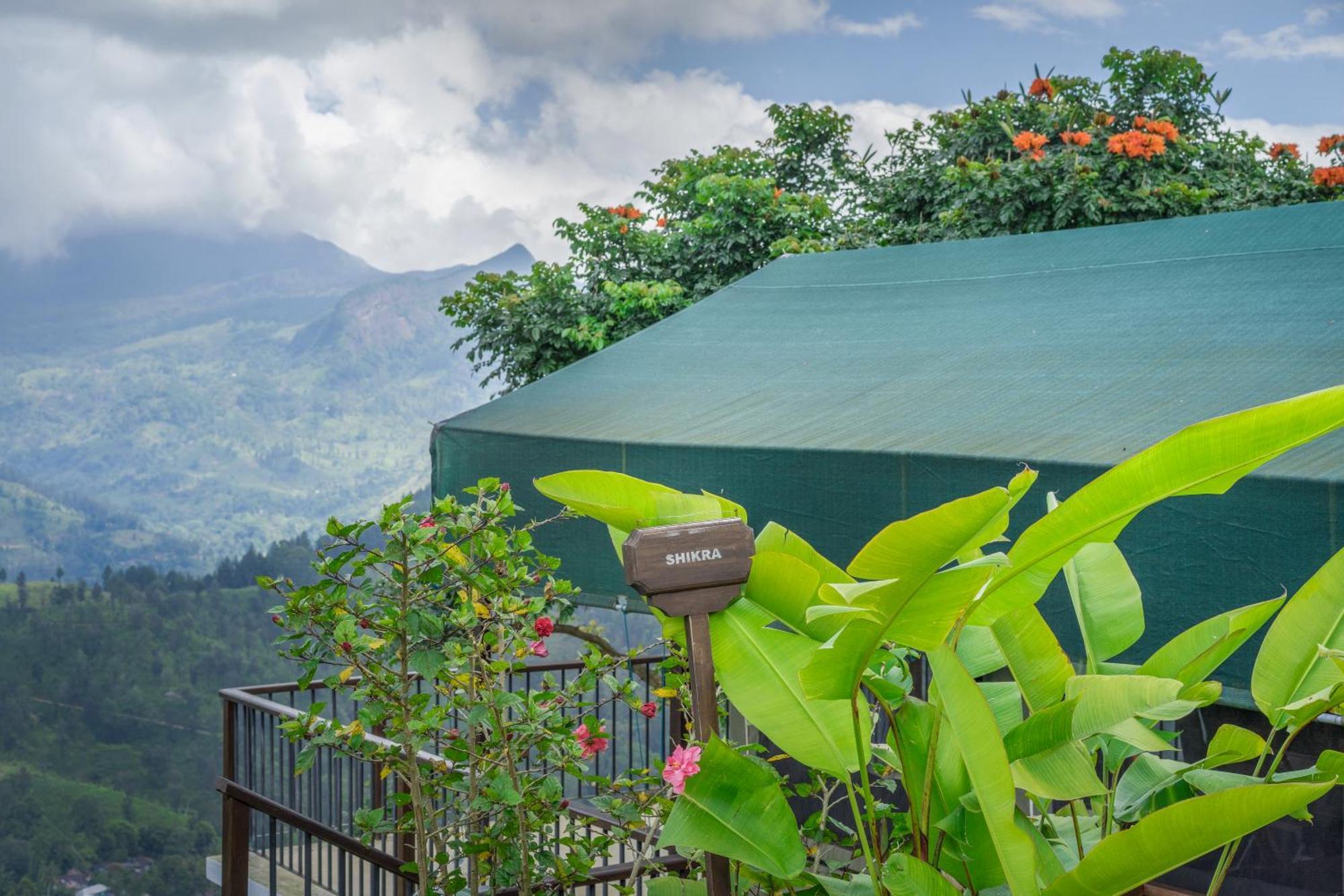 Madulkelle Tea And Eco Lodge Канди Экстерьер фото