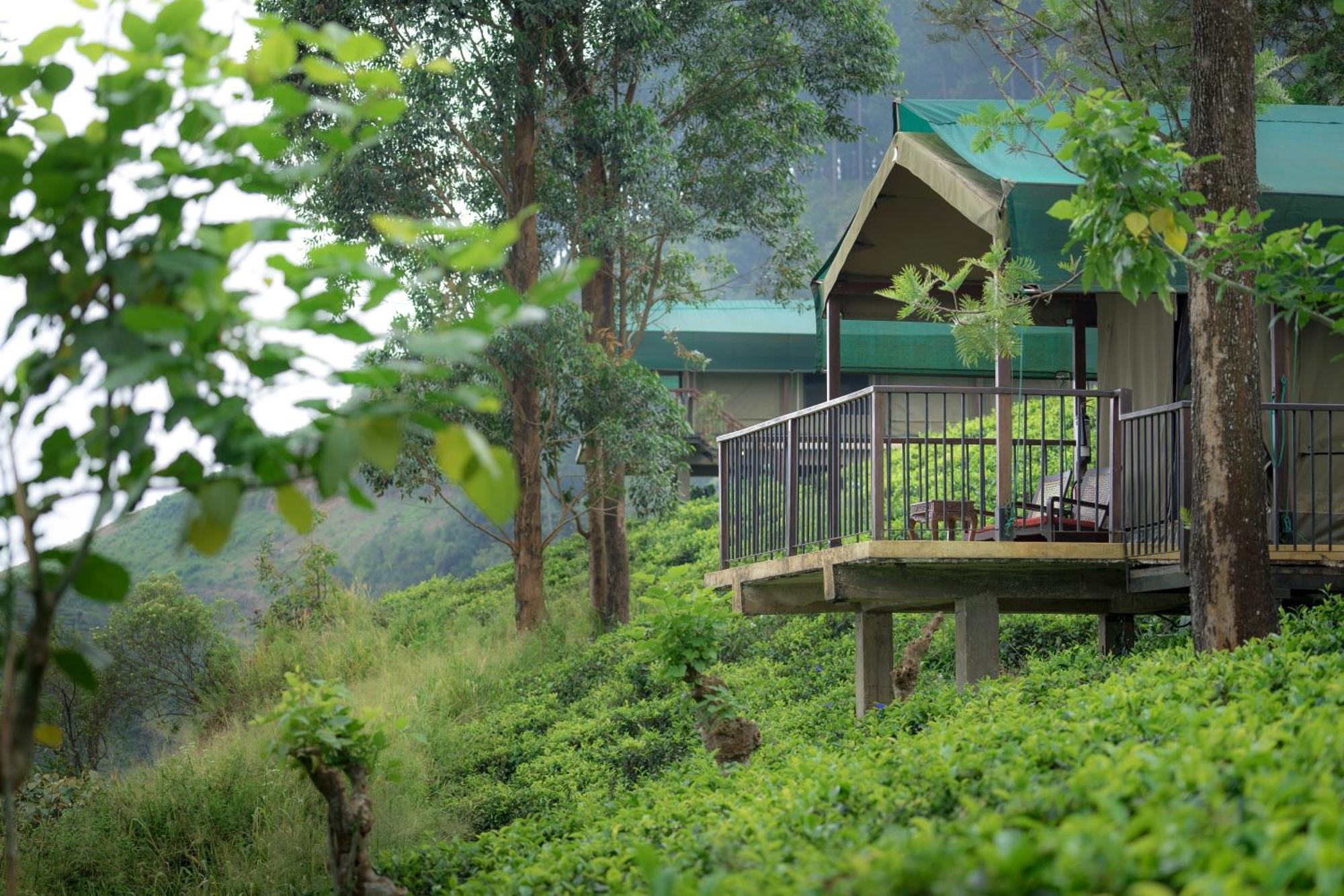 Madulkelle Tea And Eco Lodge Канди Экстерьер фото