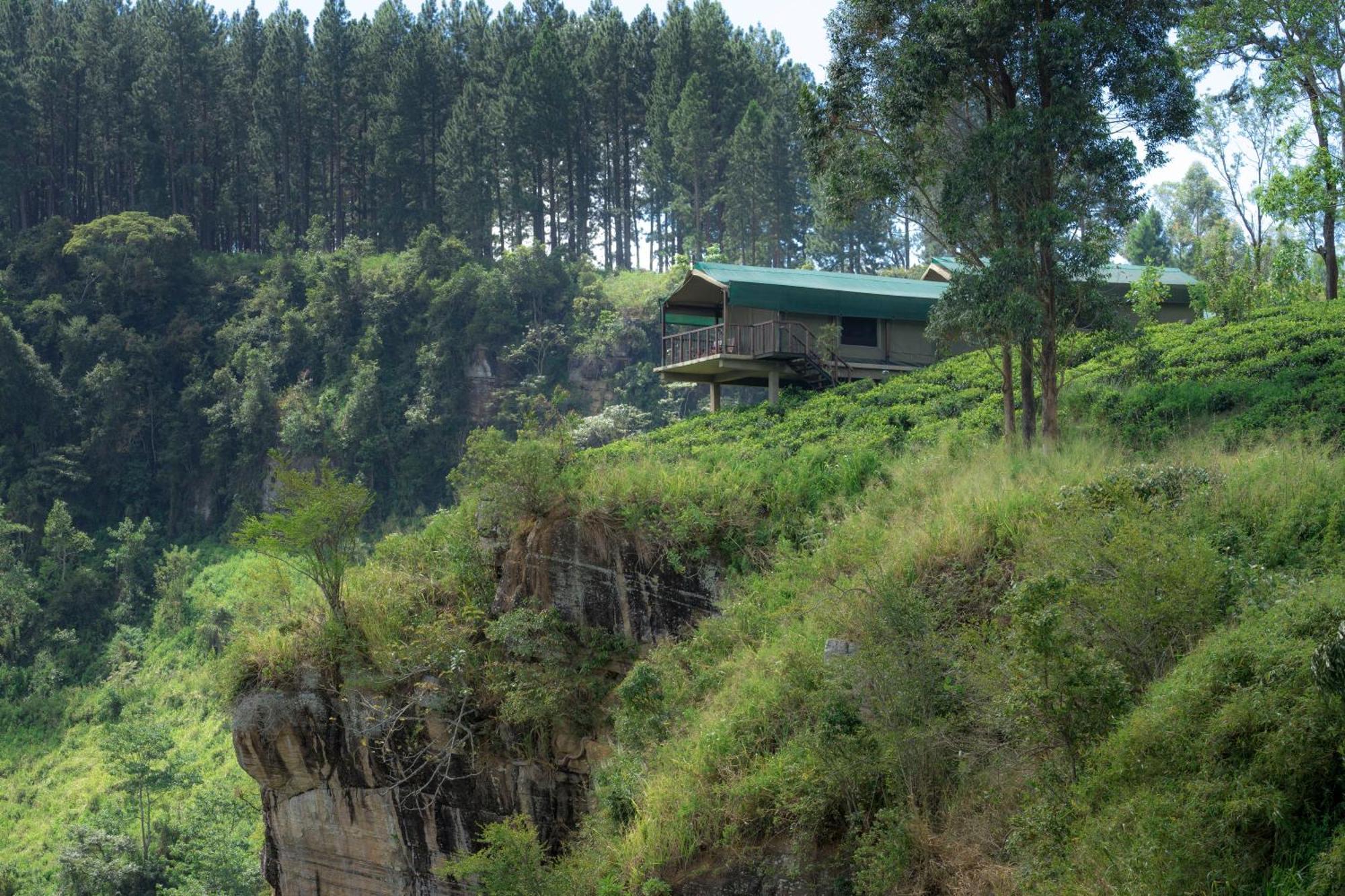 Madulkelle Tea And Eco Lodge Канди Экстерьер фото
