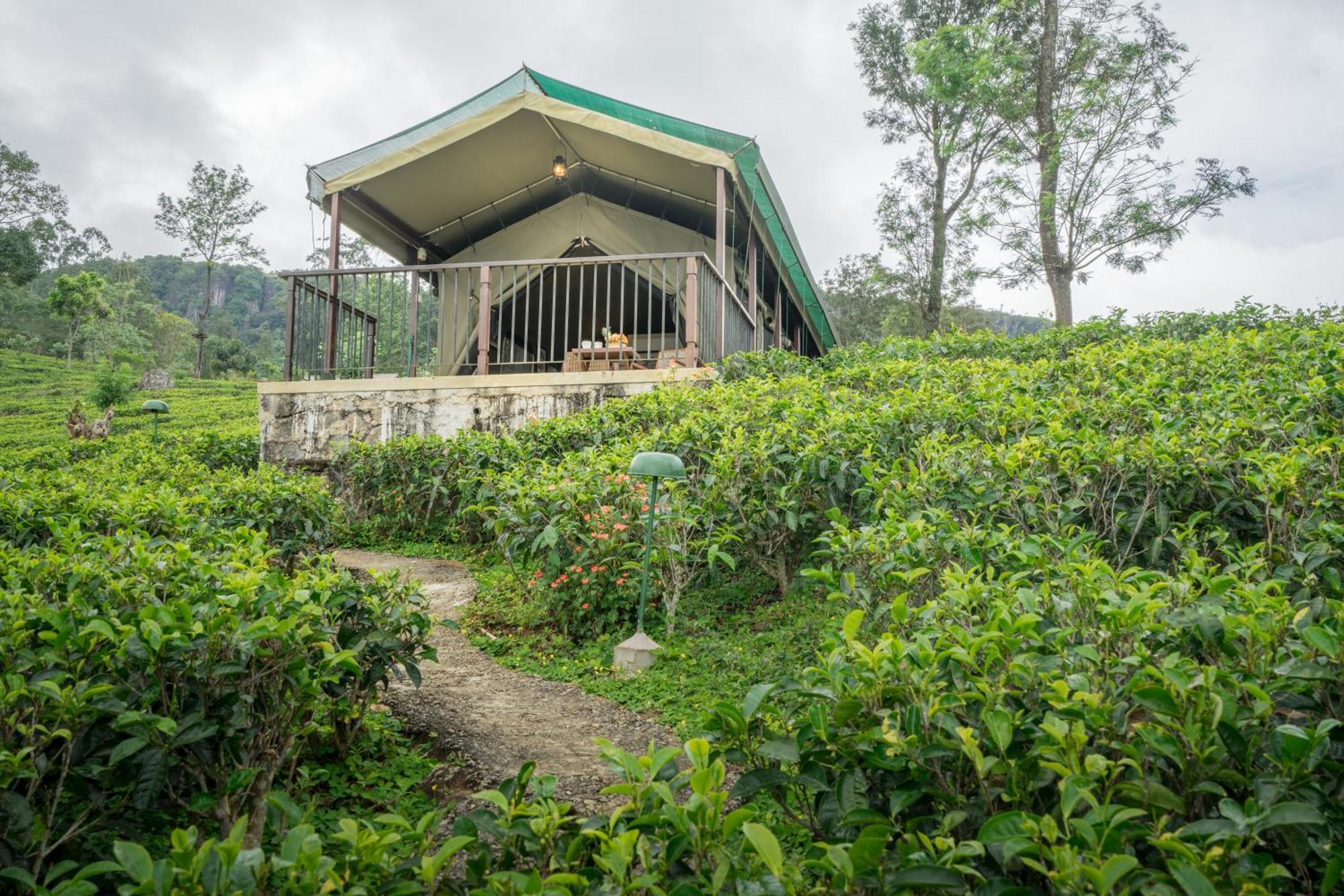 Madulkelle Tea And Eco Lodge Канди Экстерьер фото
