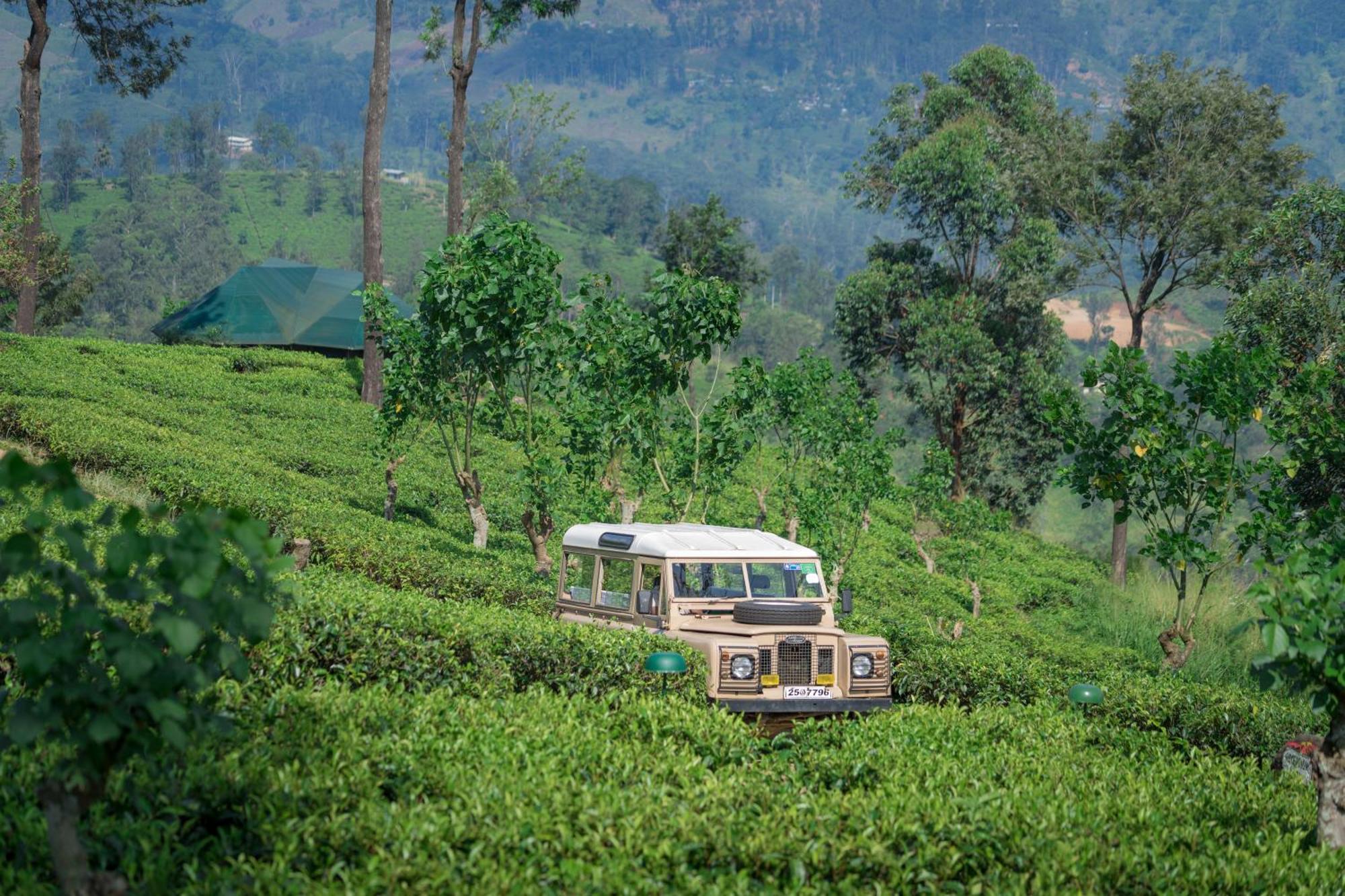 Madulkelle Tea And Eco Lodge Канди Экстерьер фото