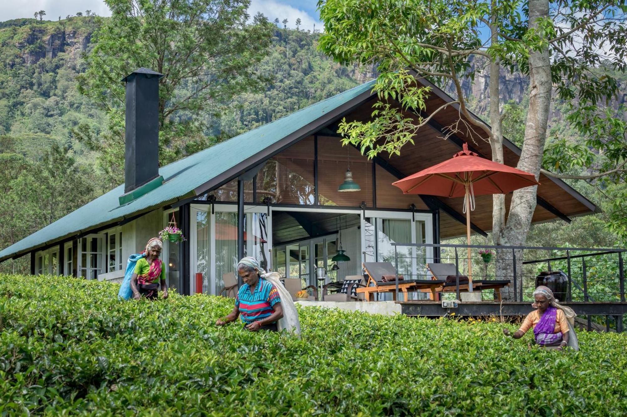 Madulkelle Tea And Eco Lodge Канди Экстерьер фото